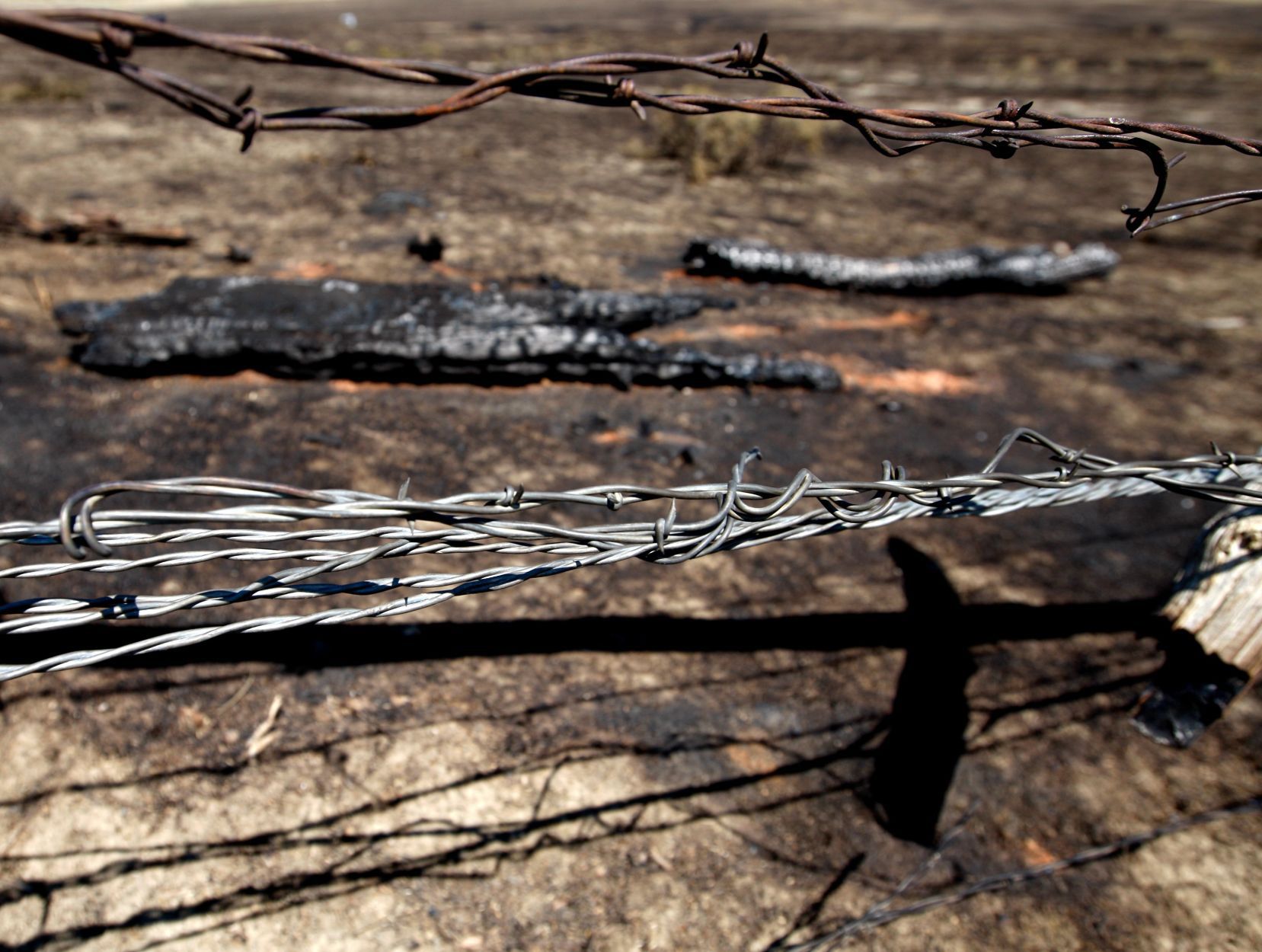 Lodgepole Complex